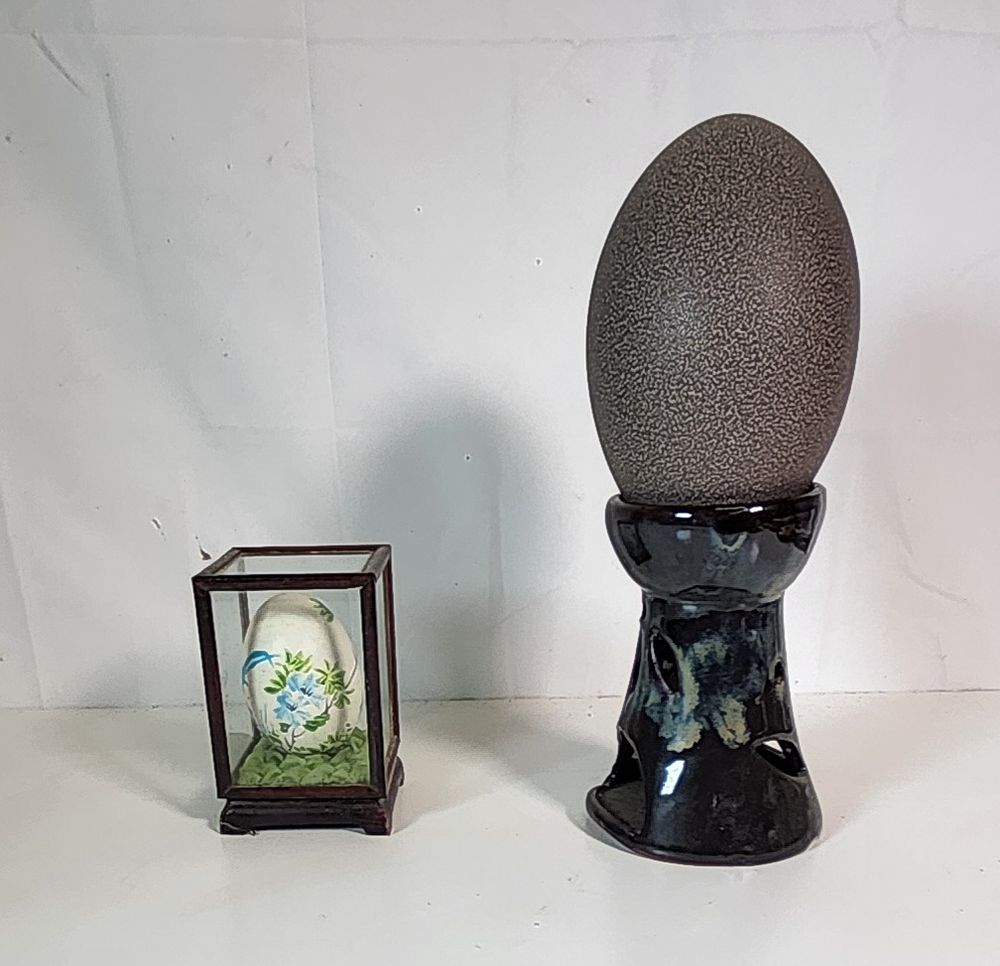 Lot 209: 1 x Emu or Ostrich egg 
1 x Painted egg in display case.