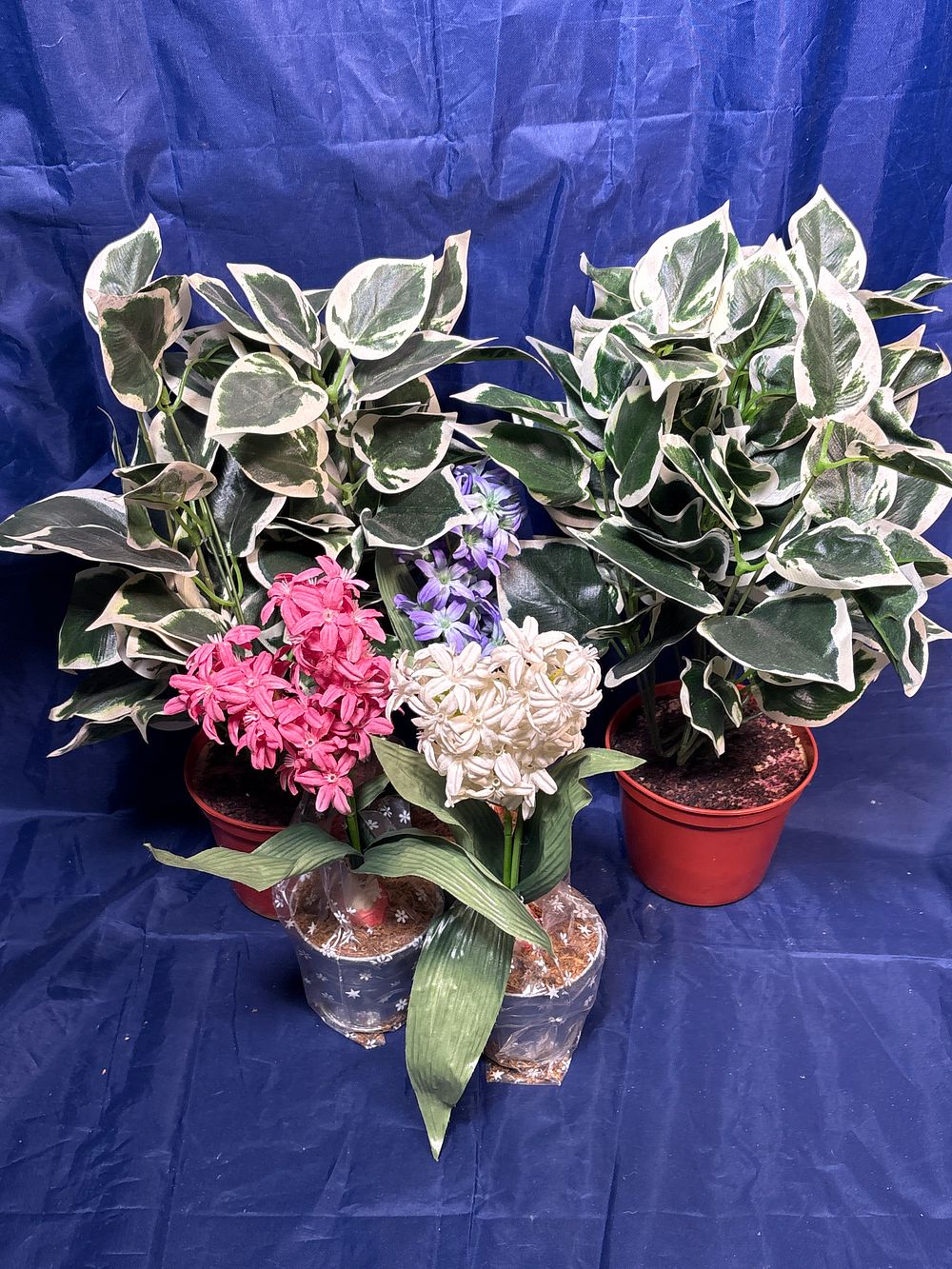 Lot 395: Five Artificial Plants