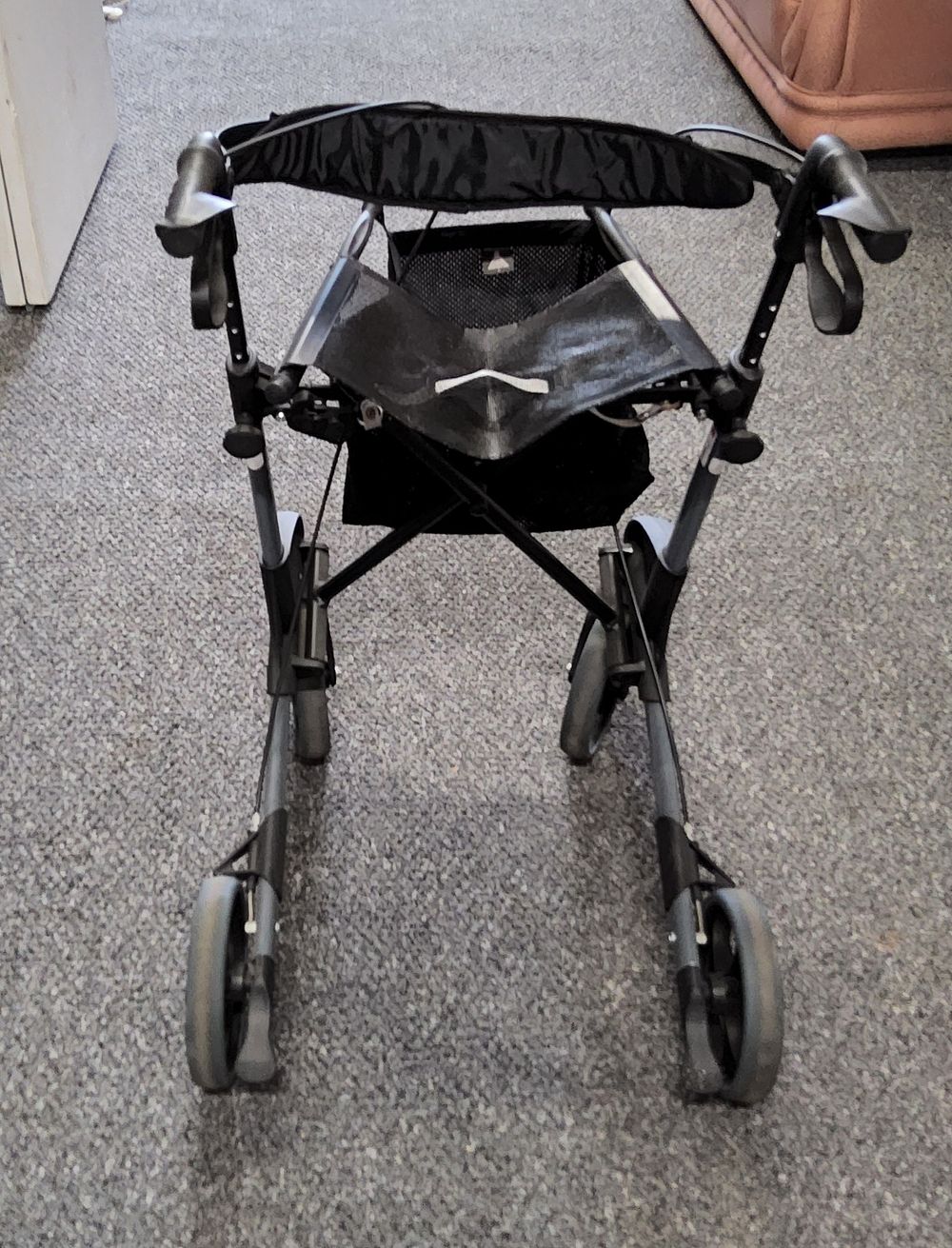 Lot 213: Mobility Walker. As pictured.