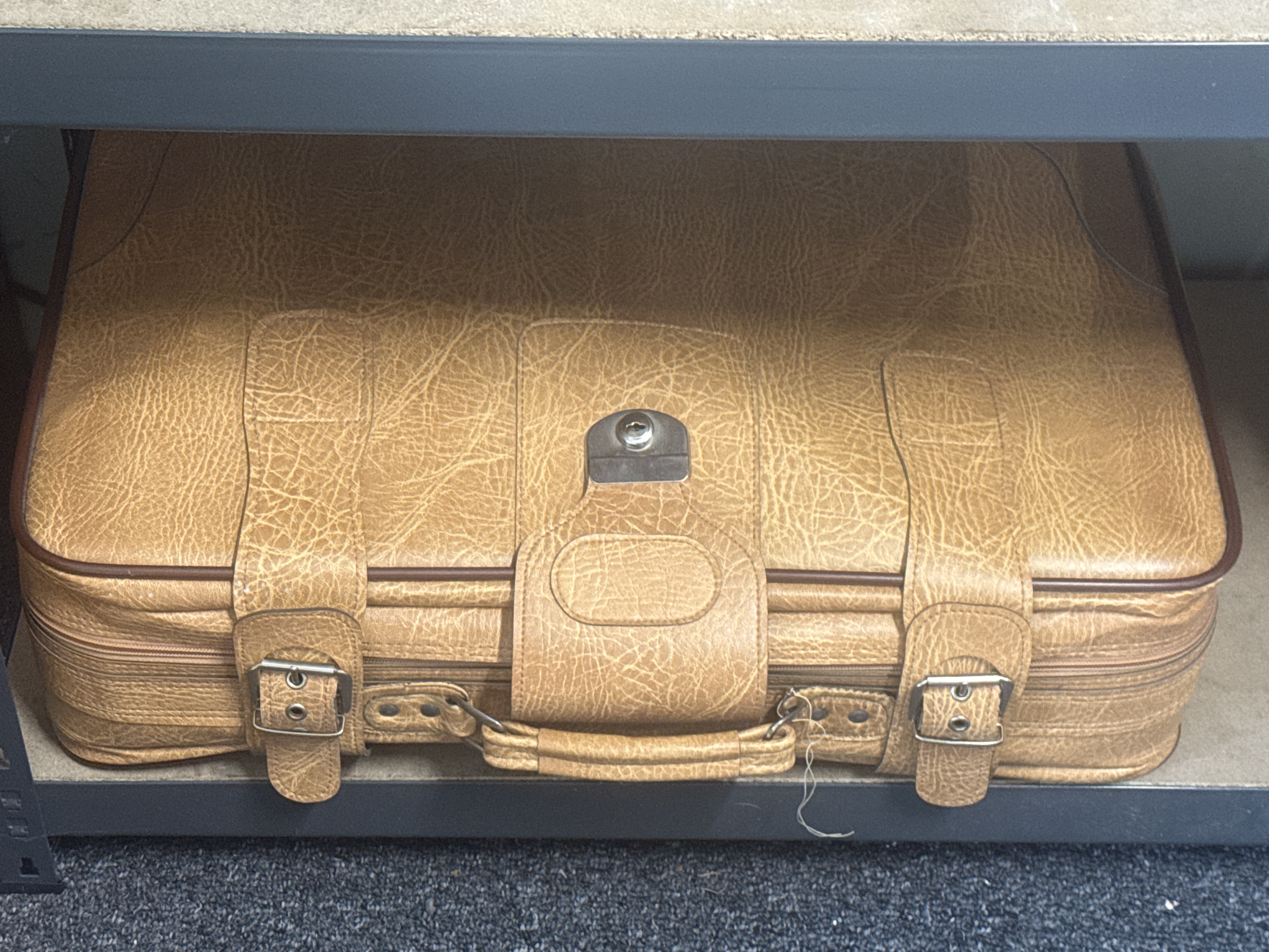 Cased Mystery Lot