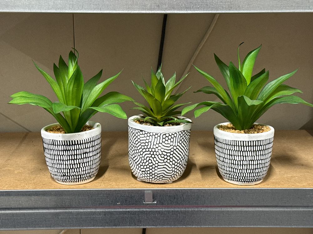 Lot 121: A Trio of Contemporary Artificial Succulents in Monochrome Ceramic Pots