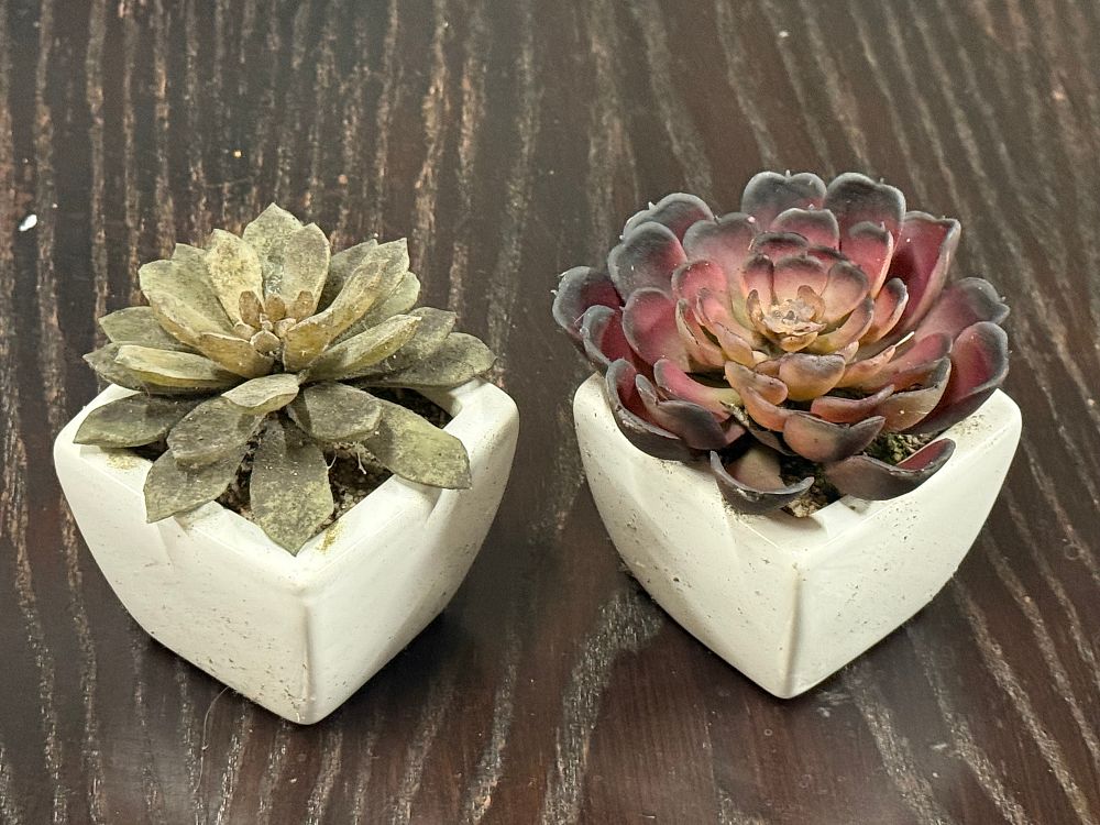 Lot 156: A pair of artificial succulents in white ceramic pots