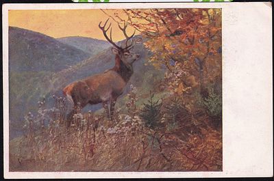 Реклама. Производство и склад охотничьих ружей Василия Петрова, Ижевский оруж. зав.