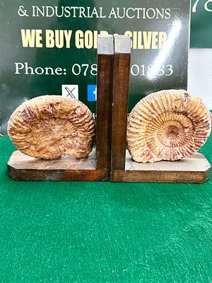 A Pair of Madagascar Perisphinctes Ammonite Fossil Bookends. A pair of decorative bookends 
