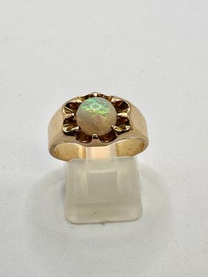 A Single Stone Opal Dress Ring in 14 Carat Yellow Gold