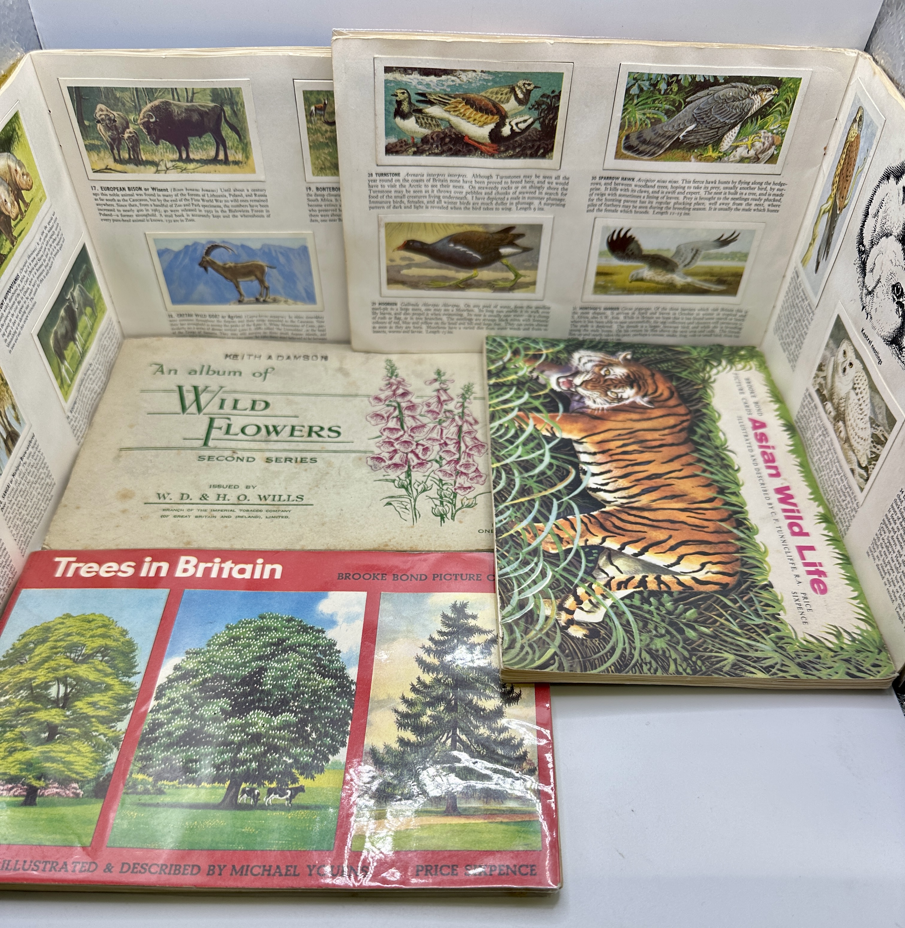 A Collection of Vintage Brooke Bond and W. D. and H. O. Wills Picture Card Albums
