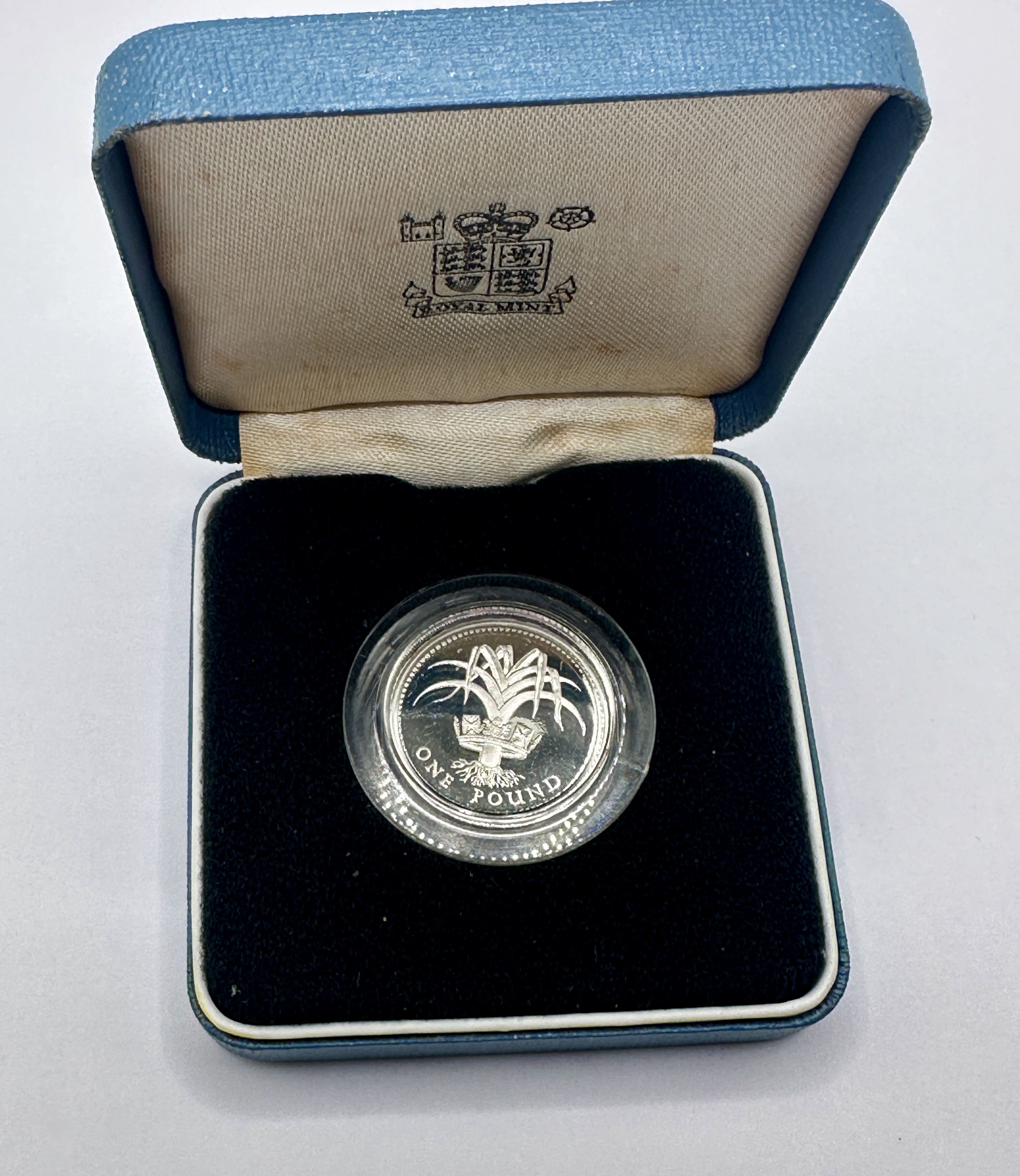 1985 UK Silver Proof One Pound Coin, Welsh Leek Design