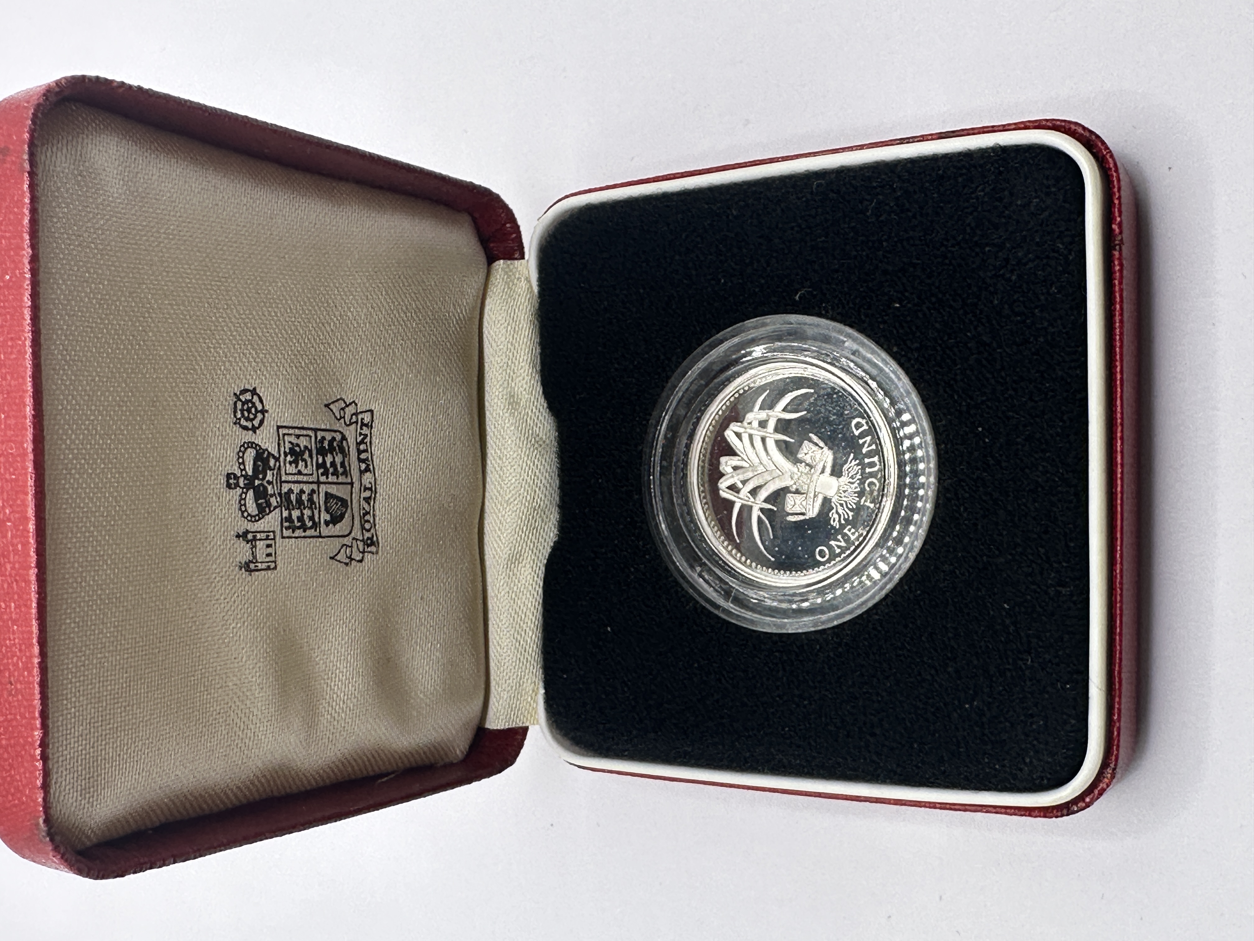 UK Silver Proof One Pound Coin, Wales Leek Reverse, Royal Mint Case