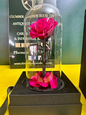 Rose Bear Preserved Magenta Rose in Glass Cloche. A preserved rose display branded by Rose Bear 