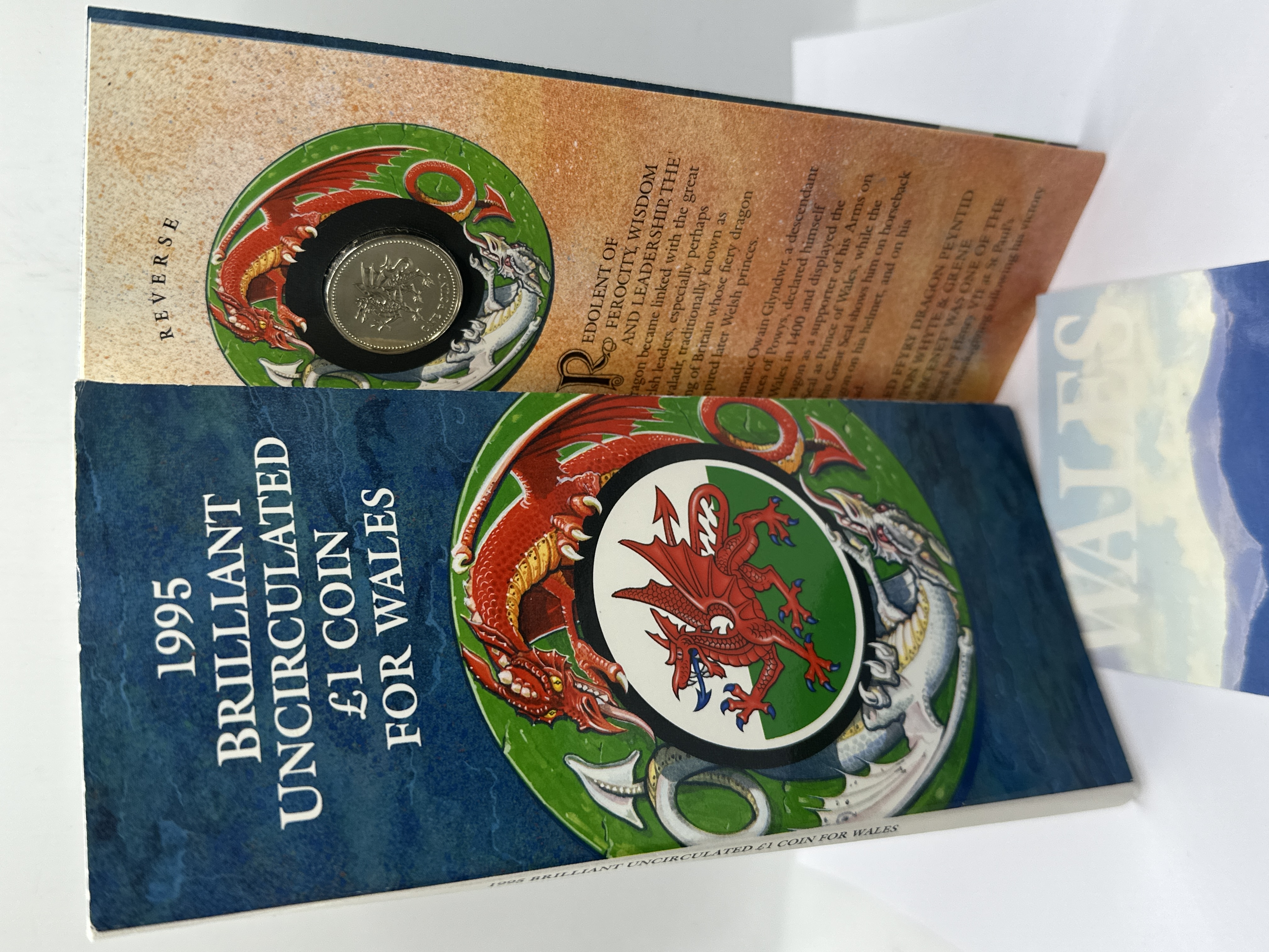 1995 UK One Pound Brilliant Uncirculated Coin for Wales in Presentation Pack