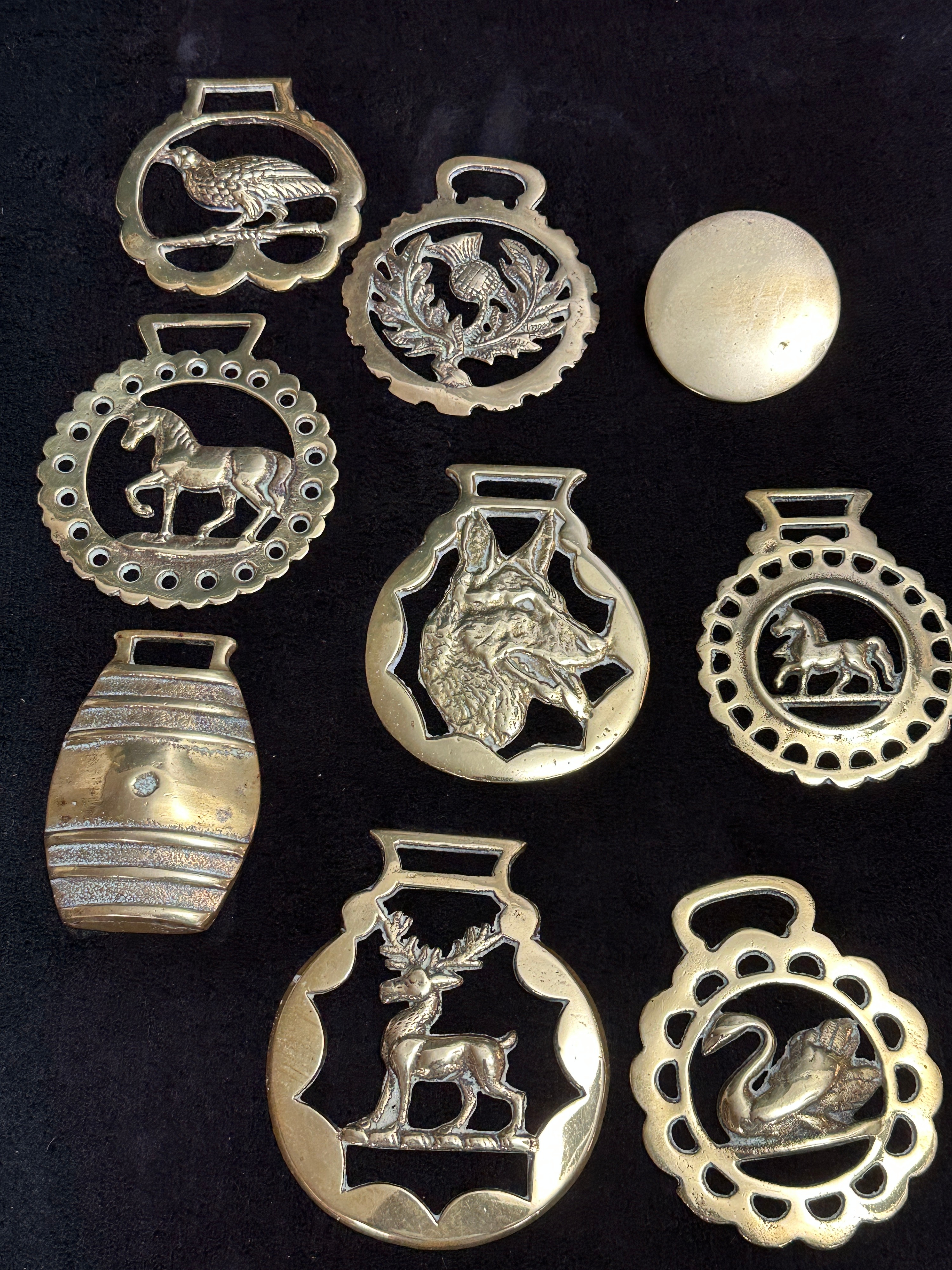 A Collection of Nine Metal Medallions Featuring Animal and Foliate Motifs