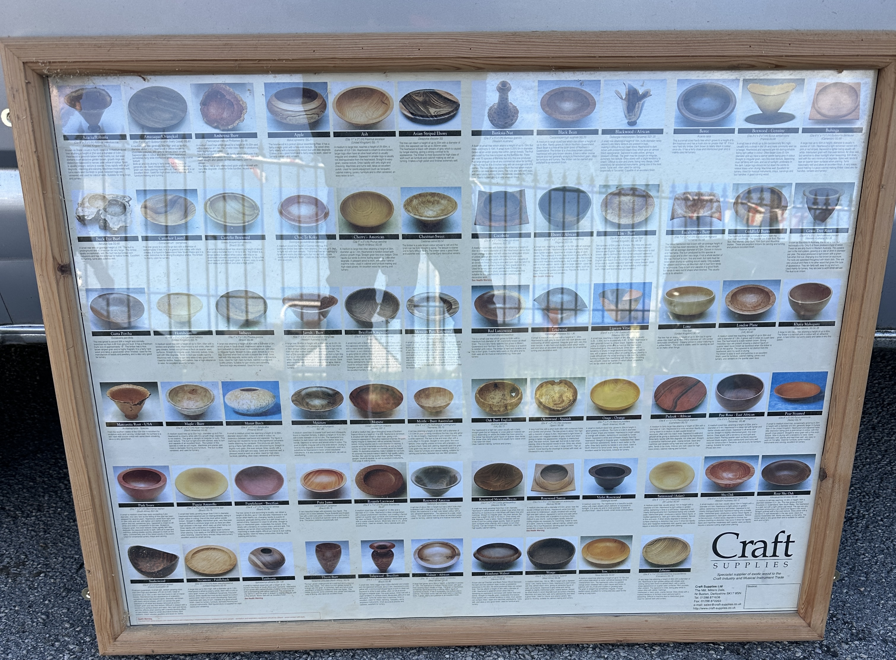 A Framed Craft Supplies Woodturning Species Identification Poster