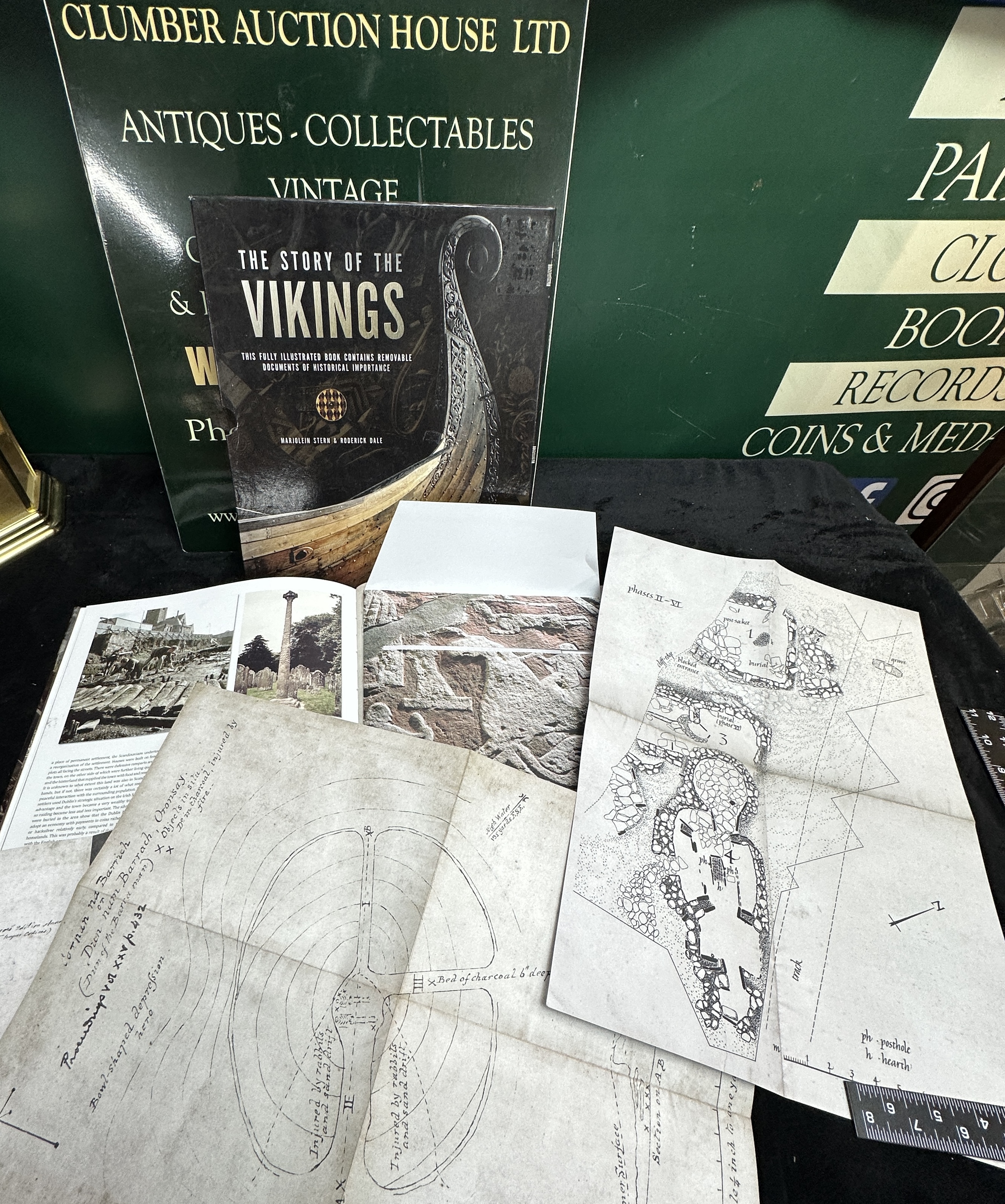 Stern and Dale. The Story of the Vikings. Carlton Books, 2017. (DJ)