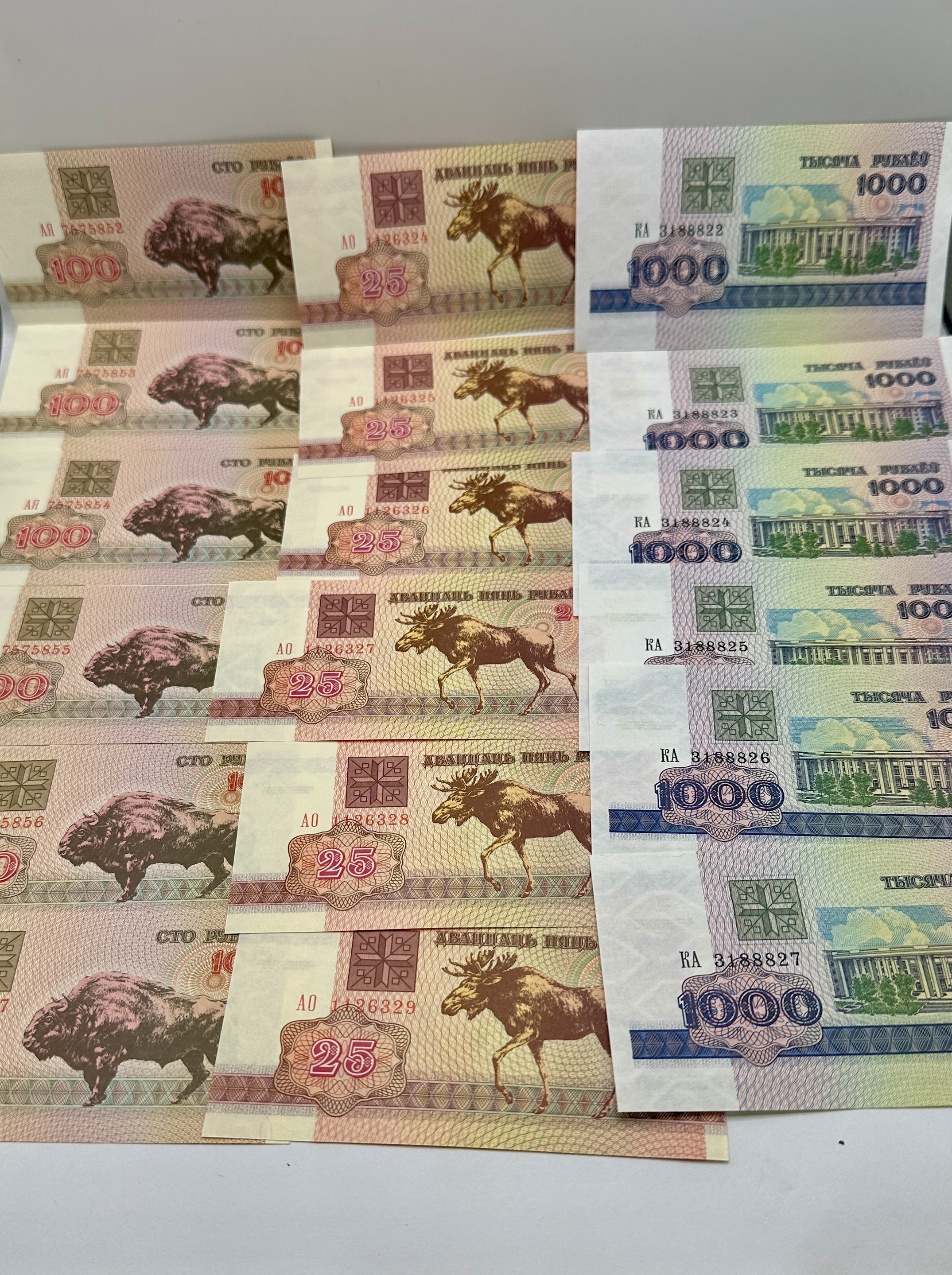 A Collection of Republic of Belarus 1992 Series Banknotes