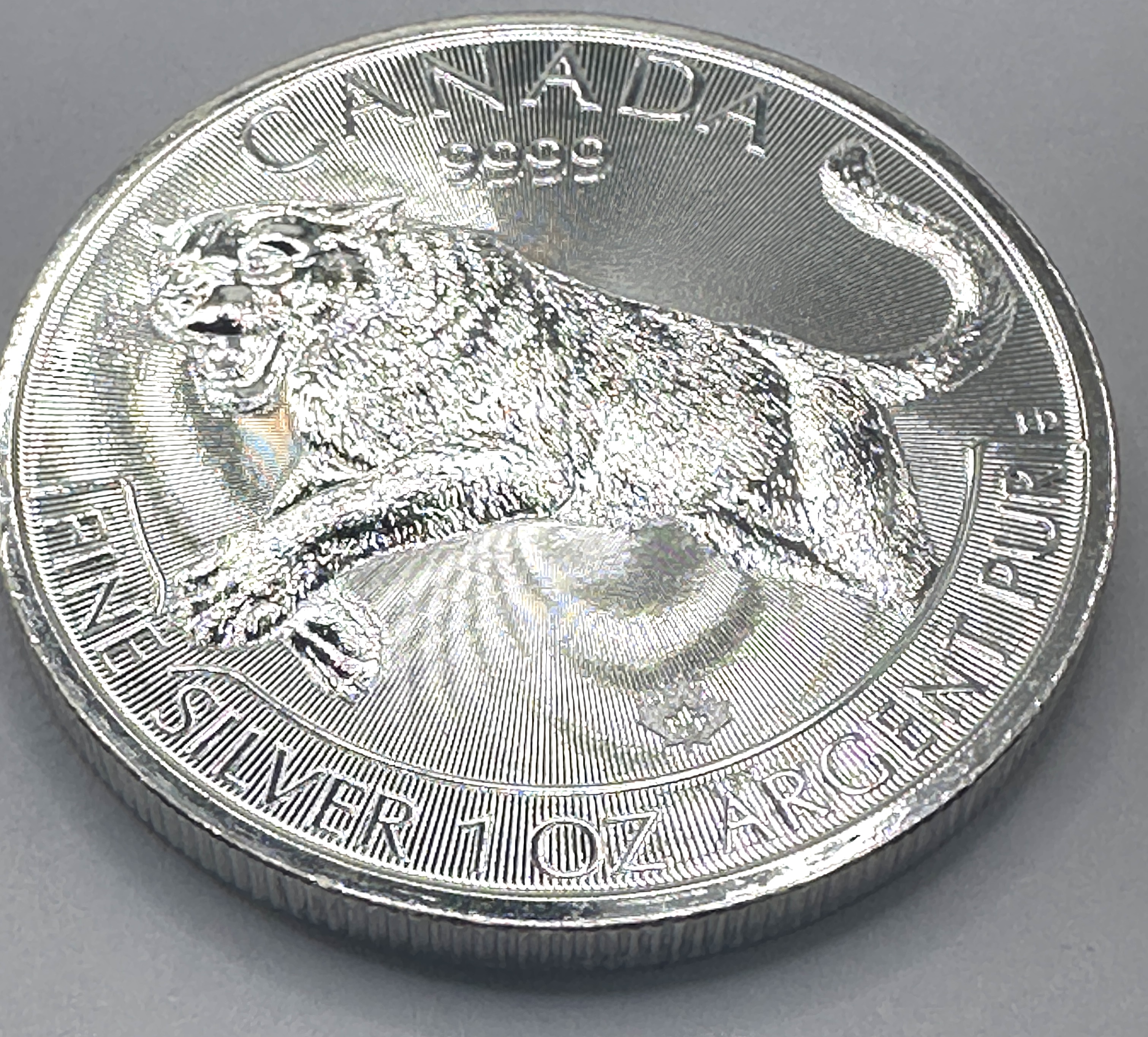 Canada 2016 Cougar 9999 Fine Silver 1 oz Coin