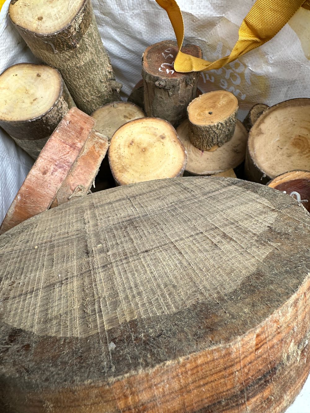 Lot 118: An Assortment of Hardwood and Softwood Log Sections and Offcuts