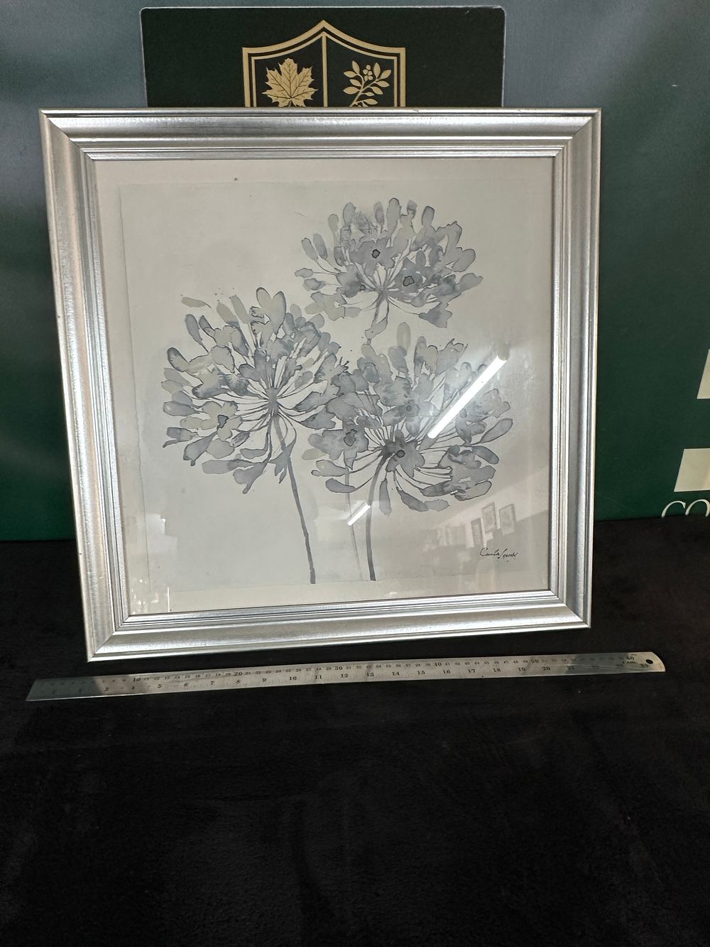 Lot 156: Carla J 'Agapanthus', A Framed Floral Wash Drawing (Signed)