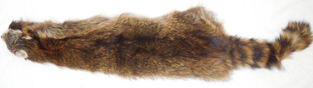 Lot 376: Soft Tanned Raccoon Fur