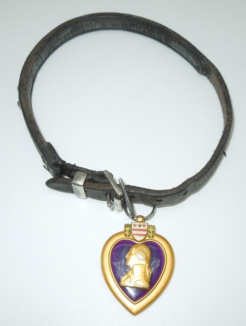 Lot 261: Korean War Era US Military War Dog Collar & Named Purple Heart