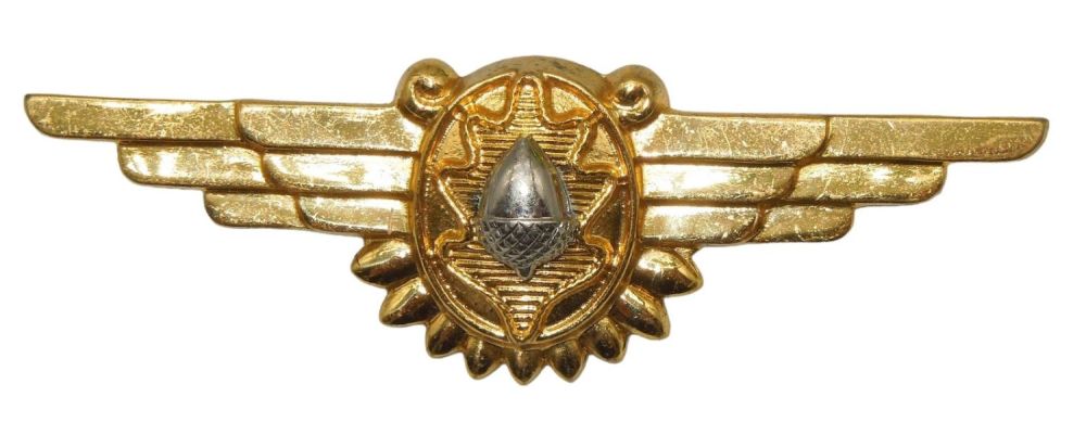 Lot 257: WWII Gemsco Amico USN Navy Flight Surgeon Wings Pin Back Double Hallmark