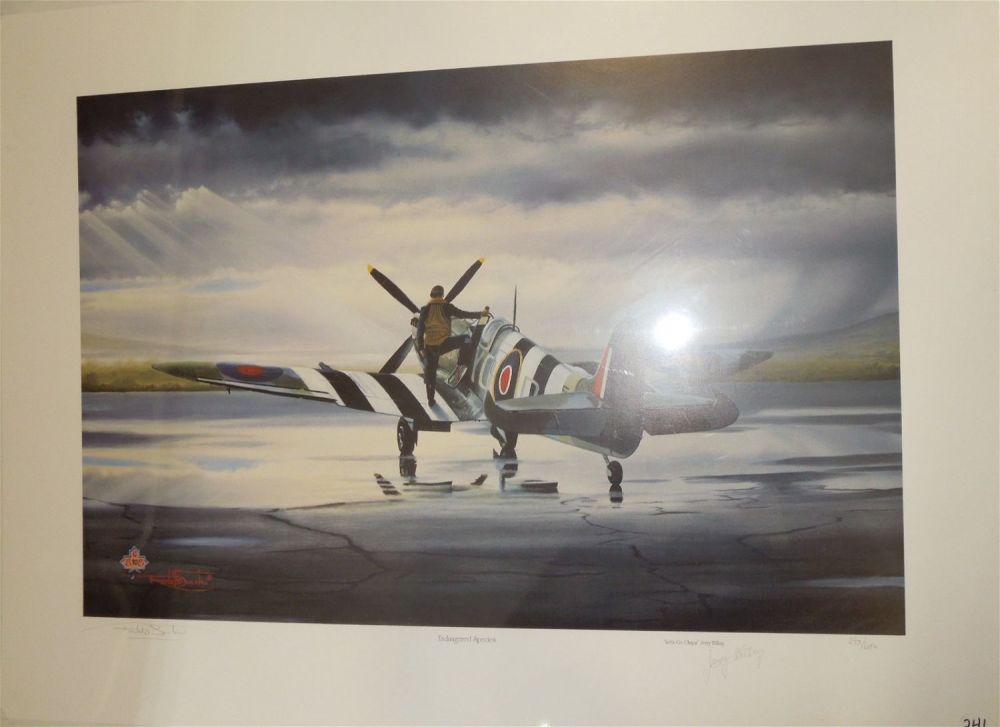 Lot 359: WWII Endangered Species Signed Print Spitfire Pilot Jerry Billing & Artist Suchiu 245/650