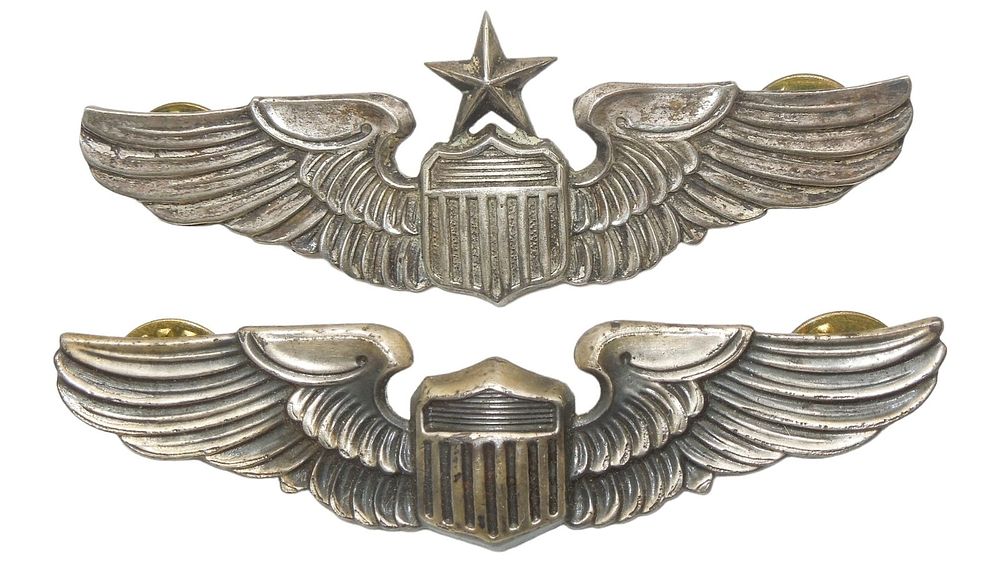 Lot 140: Lot (2) NS Meyer Vietnam War US Air Force Pilot Wings