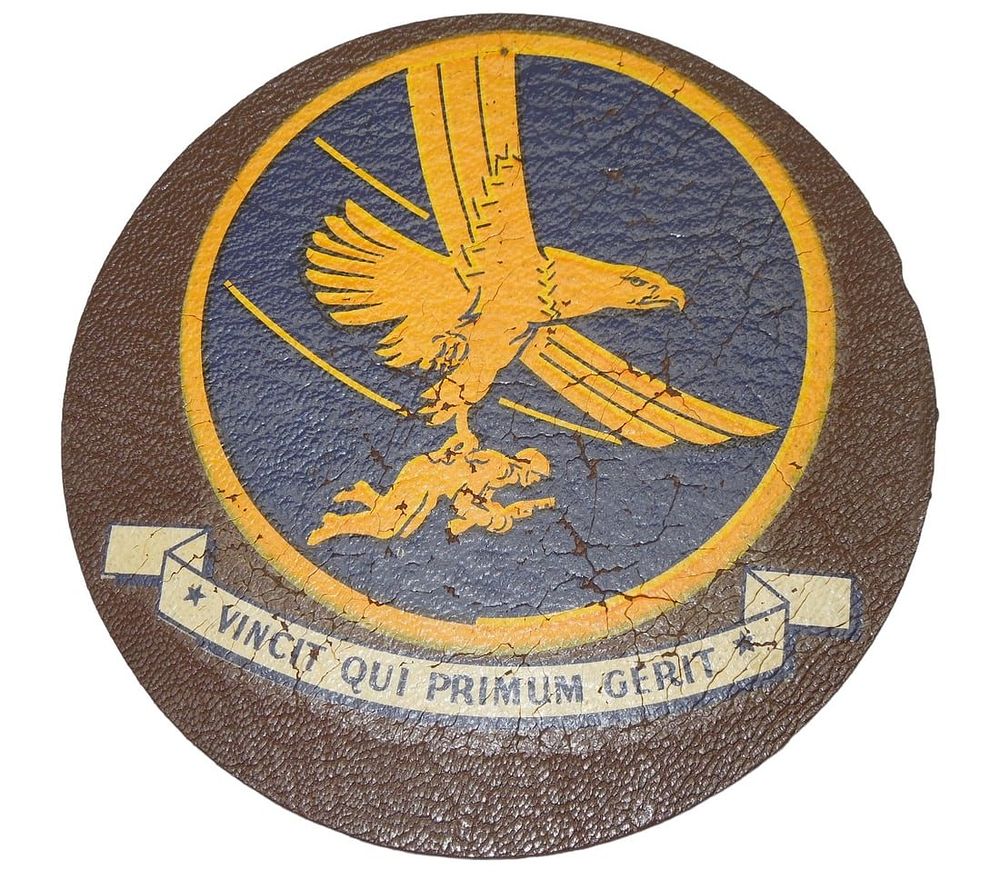 Lot 165: WWII US Army Air Force Leather A-2 Troop Carrier Patch