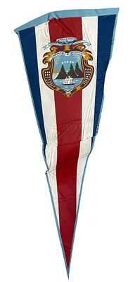 1970s Desk Flag of Costa Rica President Jose Figures. Flag from the Dr. Clarence Rungee flag 