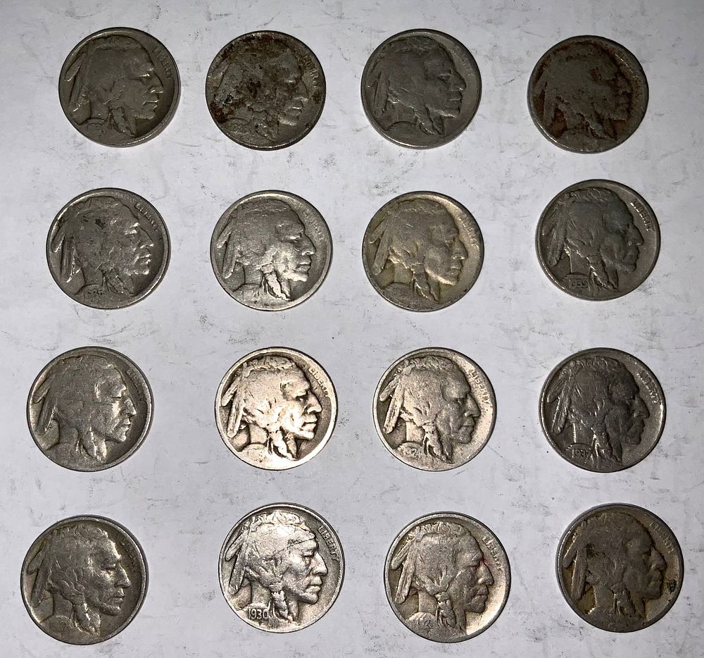 Lot 333: Buffalo Nickel Lot (16) #9