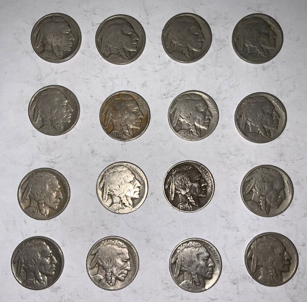 Lot 334: Buffalo Nickel Lot (16) #10