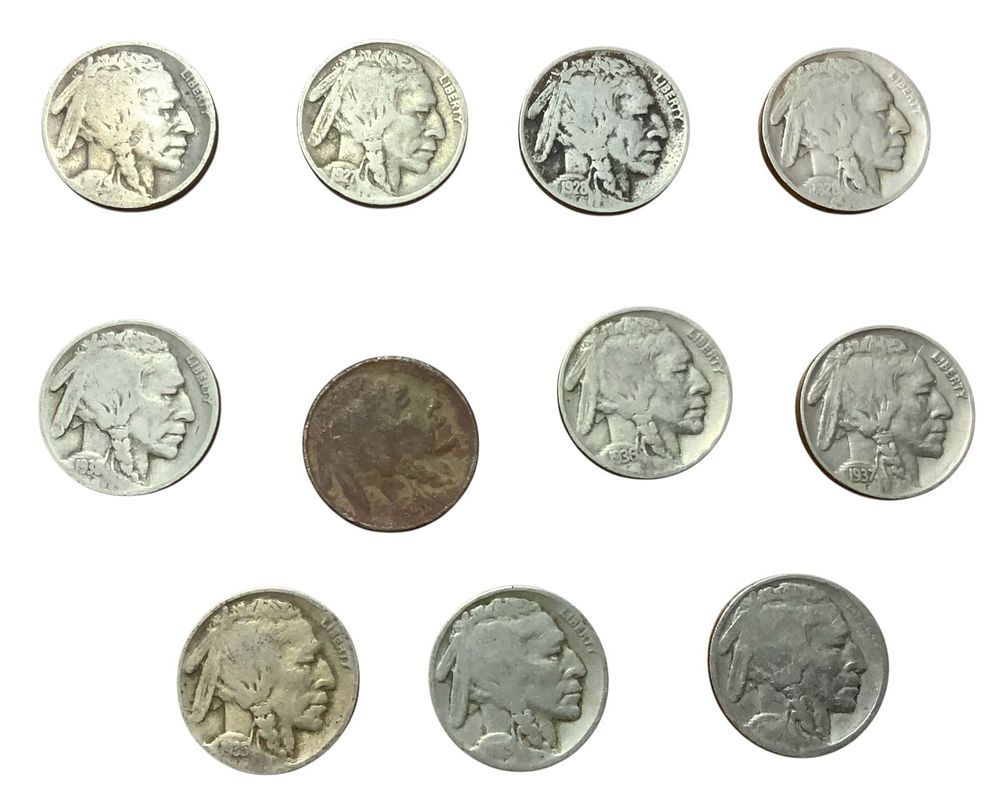 Lot 351: Buffalo Nickel Lot (11) #5