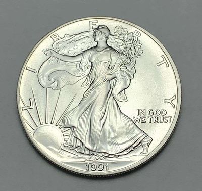 1991 American Silver Eagle. Winner shall recieve the exact coin shown here. (BD/B)