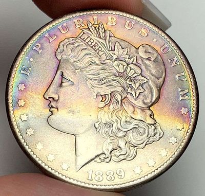 Sick Color 1889 Morgan Silver Dollar. Winner shall receive the exact coin shown here. (MR/RB)