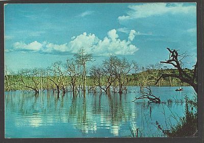 Angola 1966 Bilhete Postal Dundo → Lisboa – Rio Luachimo / Companhia de Diamantes de Angola. Bilh 
