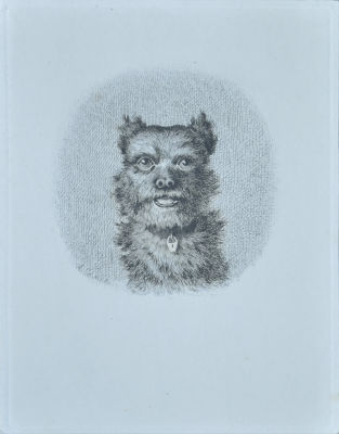 Сомов Андрей Иванович (1830-1909) - Собака. 1871 г. Бумага, офорт. 18 х 13,5 см 
Русский 