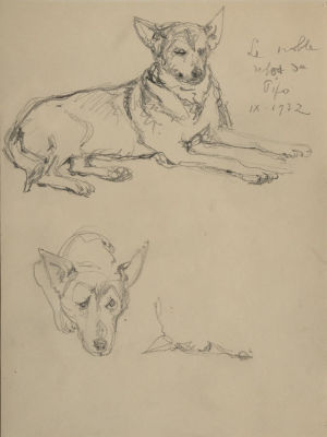 Бенуа Александр Николаевич (1870 -1960) - Пипо.1932 г. Работа из коллекции Антона Соя. 
Бумага 