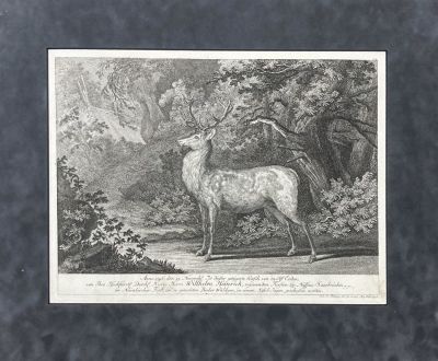 Ридингер Иоганн Элиас (1698-1767) - Олень. 1754 г. Бумага, гравюра резцом 39.6 х 29.3 смНемецкий 