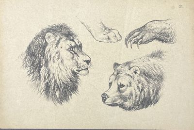Неизвестный литограф - Лев и медведь. Середина XIX в. Бумага, литография, 12 х 18.3 см