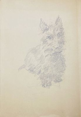 Юмашев Андрей Борисович (1902-1988) - Портрет скотч-терьера. Середина ХХ в. Бумага, графитный 