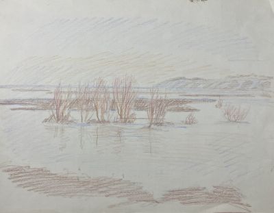 Бруни Иван Львович (1920 - 1995) - Пейзаж. Половодье. 1970-е гг. Бумага, цветные карандаши, 41 х 