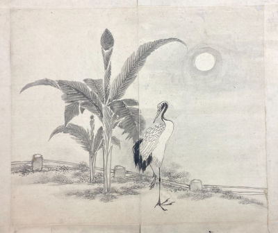 Неизвестный художник - Цапля. Первая половина XIX в. Бумага, акварель, 31.8 х 37.6 см