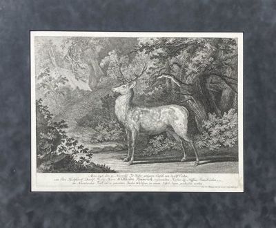 Ридингер Иоганн Элиас (1698-1767) - Благородный олень. 1750 г. Бумага, гравюра резцом, 39.6 х 29.3 
