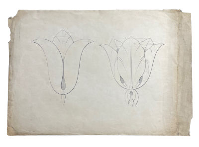 Неизвестный художник - Цветы. Середина XIX в. Бумага, литография, 27 х 39 смИздание Строгановского 