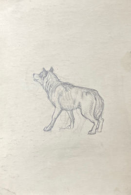 Кузанян Нина Михайловна (1903-1999) - Волчок. 1940 г. Бумага, карандаш, 27.7 х 19.3 см