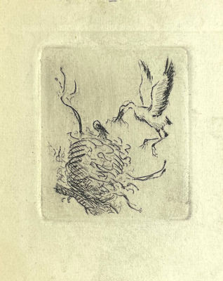 Эвенбах Евгения Константиновна (1889-1981) - Аисты. Середина XX в. Бумага, офорт, 5 x 4.5 см