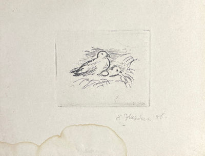 Эвенбах Евгения Константиновна (1889-1981) - Куропатки. 1976 г. Бумага, офорт, 18 х 14 см