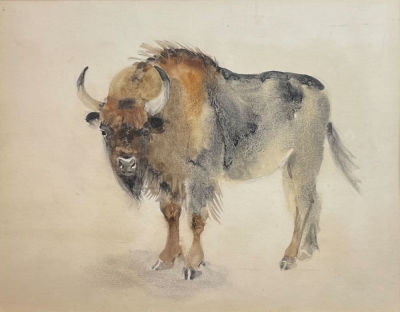 Никольский Георгий Евлампиевич (1906-1973) - Як. 1970-е гг.
. Бумага, акварель, 31.7 х 38.6 см