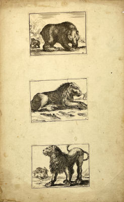 Делла Белла, Стефано (1610-1664) - Шесть гравюр из сюиты "Diversi Animali" на двух листах. 1640-е гг. 