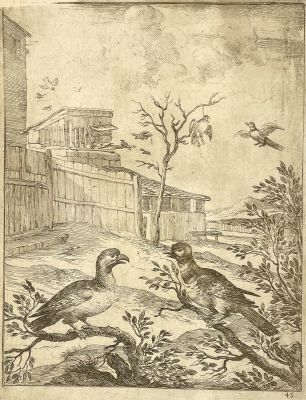 (М) Ступ Дирк (1615-1686) - Ястреб и кукушка. Иллюстрация к басне Эзопа. 1665 г. Бумага, офорт, 37 