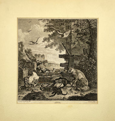 С оригинальной картины Мельхиора де Хондекутера - Лиса. Вторая половина XVIII в. Бумага, гравюра 